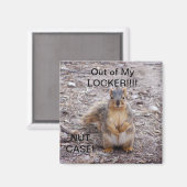 ロッカー用リス磁石の外 マグネット (正面/裏面)