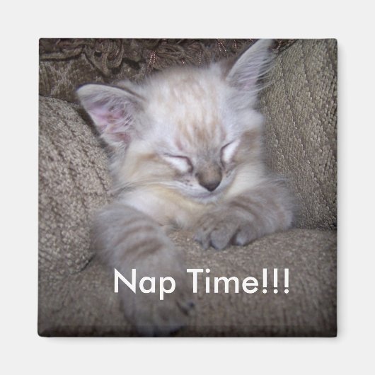 ロッカー磁石…昼寝時間 マグネット (正面)