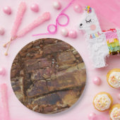 ロッキーな景色 ペーパープレート (パーティー)