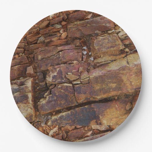 ロッキーな景色 ペーパープレート (正面)