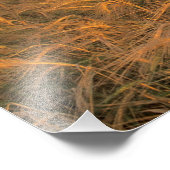 ロッキーに沿って熟成する大麦の分野 フォトプリント            (角)