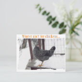 ロッキーはがき ポストカード (スタンド正面)