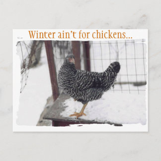 ロッキーはがき ポストカード