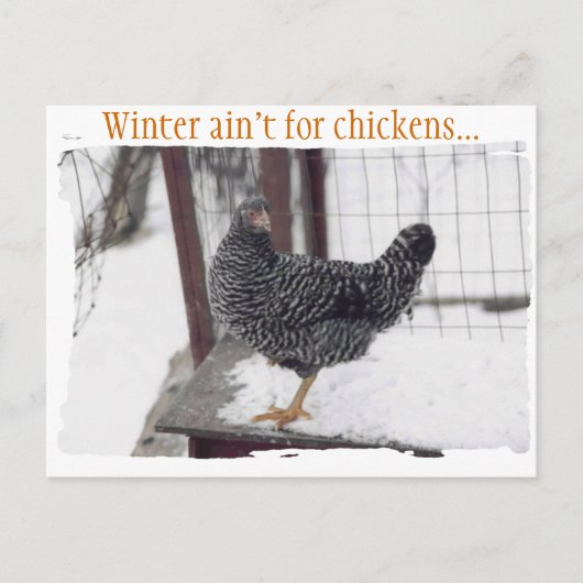 ロッキーはがき ポストカード (正面)