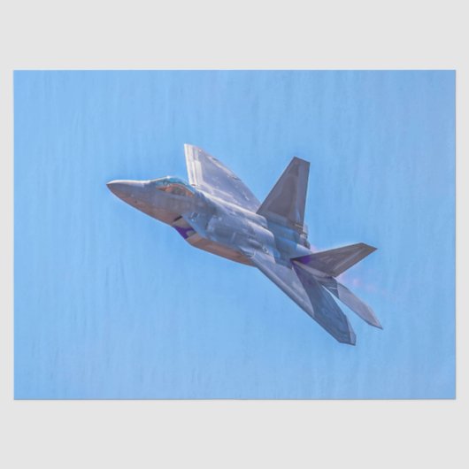 ロッキードマーチンF-22Aラプター 薄葉紙 (正面)