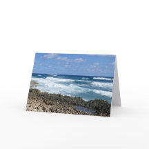 ロッキーバハマビーチ