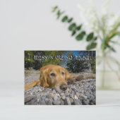 ロッキービーチのレトリーバー。私はずっと考える~だ ポストカード (スタンド正面)