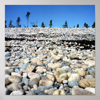 ロッキービーチシーンポスター ポスター