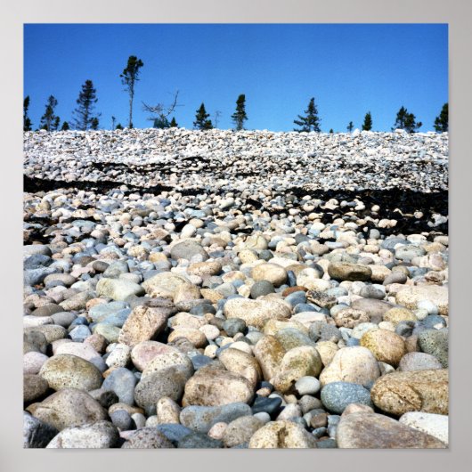 ロッキービーチシーンポスター ポスター (正面)