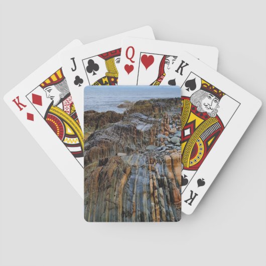 ロッキービーチトランプ トランプ (裏面)