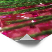 ロッキーピンクの孔雀の羽 ポスター (角)