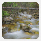 ロッキーフォレストクリークのシール スクエアシール (正面)