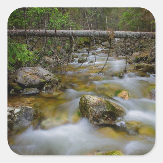 ロッキーフォレストクリークのシール スクエアシール (正面)