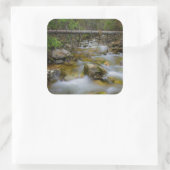ロッキーフォレストクリークのシール スクエアシール (バッグ)
