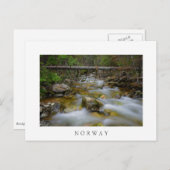 ロッキーフォレストクリークホワイト文字はがき ポストカード (正面/裏面)