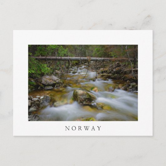 ロッキーフォレストクリークホワイト文字はがき ポストカード (正面)