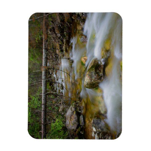 ロッキーフォレストクリーク長方形マグネット マグネット (縦)