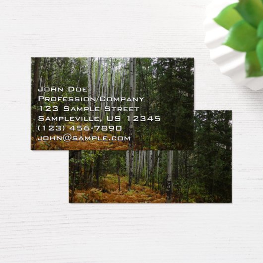 ロッキーマウンテンの白い樺の木の木と秋シダ (デスク)