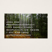 ロッキーマウンテンの白い樺の木の木と秋シダ (正面)