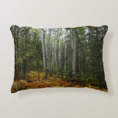 ロッキーマウンテンの白い樺の木の木と秋シダ アクセントクッション (正面)