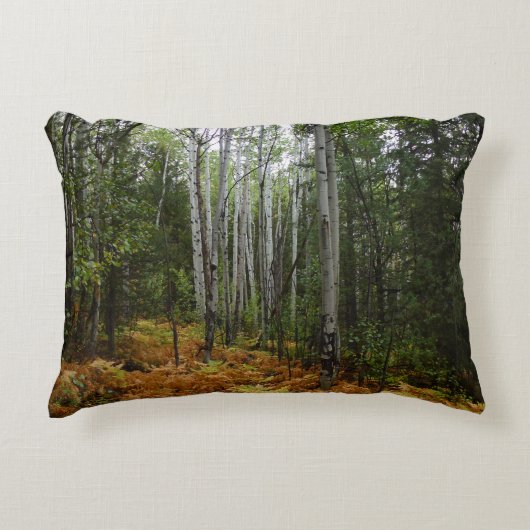 ロッキーマウンテンの白い樺の木の木と秋シダ アクセントクッション (正面)