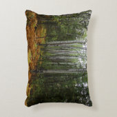 ロッキーマウンテンの白い樺の木の木と秋シダ アクセントクッション (正面(垂直))