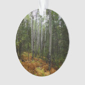 ロッキーマウンテンの白い樺の木の木と秋シダ オーナメント (正面)