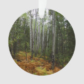 ロッキーマウンテンの白い樺の木の木と秋シダ オーナメント (正面)