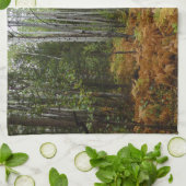 ロッキーマウンテンの白い樺の木の木と秋シダ キッチンタオル (折り畳み)