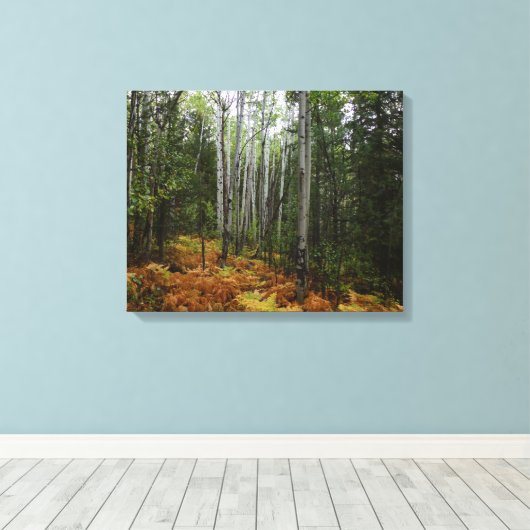 ロッキーマウンテンの白い樺の木の木と秋シダ キャンバスプリント (インサイチュ (ウッドフロア))