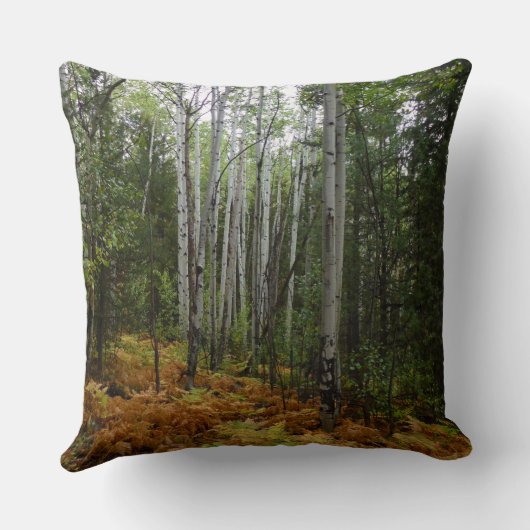 ロッキーマウンテンの白い樺の木の木と秋シダ クッション (裏面)