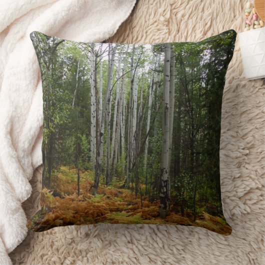 ロッキーマウンテンの白い樺の木の木と秋シダ クッション (ブランケット)