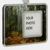ロッキーマウンテンの白い樺の木の木と秋シダ シルバープレートフレームオーナメント (右)