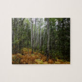 ロッキーマウンテンの白い樺の木の木と秋シダ ジグソーパズル (横)