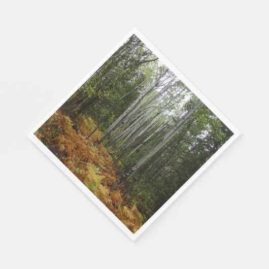 ロッキーマウンテンの白い樺の木の木と秋シダ スタンダードランチョンナプキン (角)