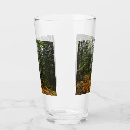 ロッキーマウンテンの白い樺の木の木と秋シダ タンブラーグラス (左)