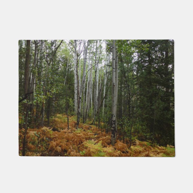 ロッキーマウンテンの白い樺の木の木と秋シダ ドアマット (正面)