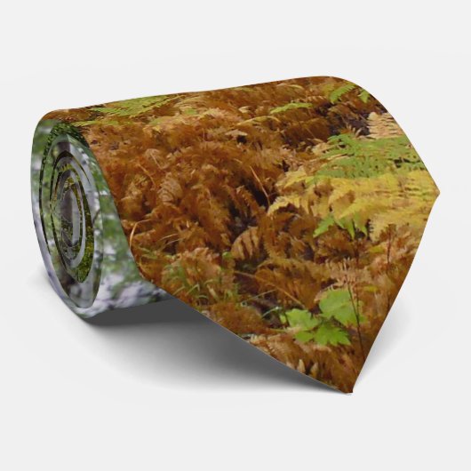ロッキーマウンテンの白い樺の木の木と秋シダ ネクタイ (ロール)