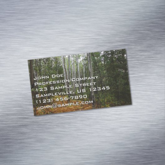 ロッキーマウンテンの白い樺の木の木と秋シダ マグネット名刺 (インサイチュ)