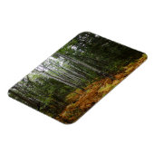 ロッキーマウンテンの白い樺の木の木と秋シダ マグネット (左側)