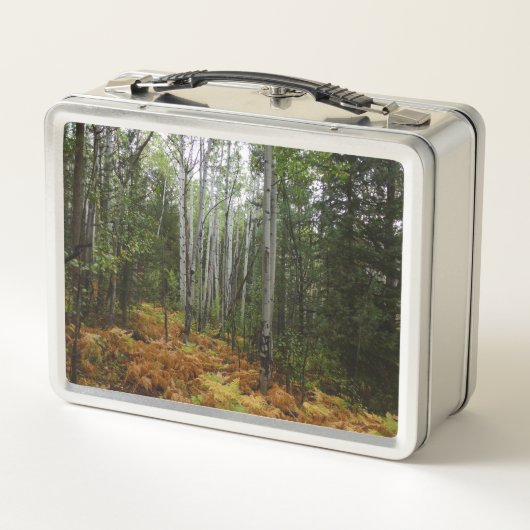 ロッキーマウンテンの白い樺の木の木と秋シダ メタルランチボックス (裏面)