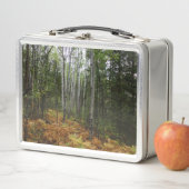 ロッキーマウンテンの白い樺の木の木と秋シダ メタルランチボックス (インサイチュ)