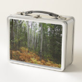 ロッキーマウンテンの白い樺の木の木と秋シダ メタルランチボックス (正面)