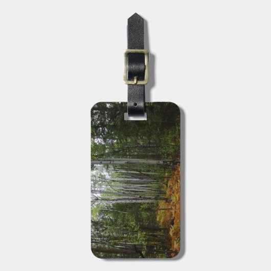 ロッキーマウンテンの白い樺の木の木と秋シダ ラゲッジタグ (正面縦)