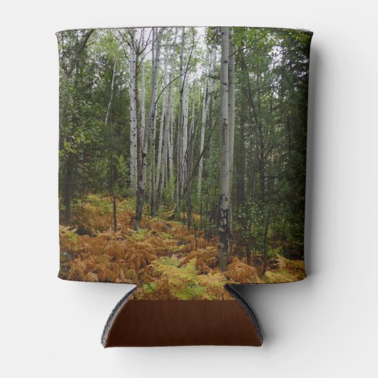 ロッキーマウンテンの白い樺の木の木と秋シダ 缶クーラー (正面)