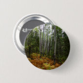 ロッキーマウンテンの白い樺の木の木と秋シダ 缶バッジ (正面&裏面)