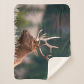 ロッキーマウンテンエルクイエローストーン国立公園 シェルパブランケット (正面)