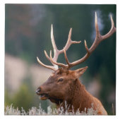 ロッキーマウンテンエルクイエローストーン国立公園 タイル (正面)