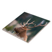 ロッキーマウンテンエルクイエローストーン国立公園 タイル (側面)