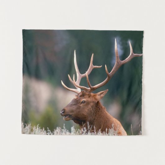 ロッキーマウンテンエルクイエローストーン国立公園 タペストリー (正面(横))